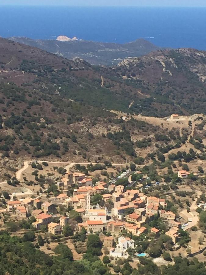 Villa grand confort à 500m de la plage de LOZARI Palasca  Exterior foto