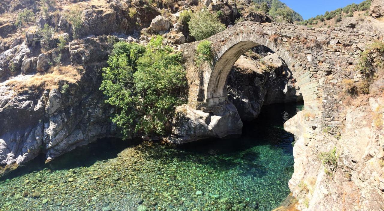 Villa grand confort à 500m de la plage de LOZARI Palasca  Exterior foto